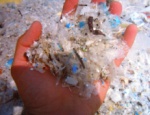plastic remnants in the sea water